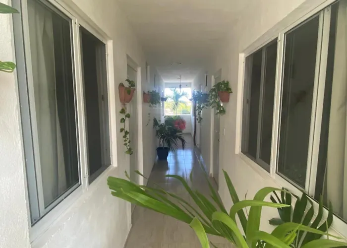 Hotel Palmas - Near The