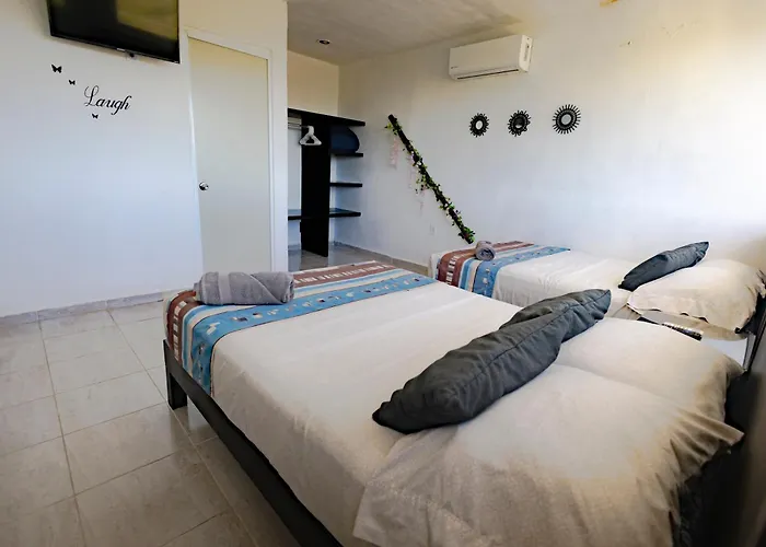 Palmas - Near The Puerto Morelos