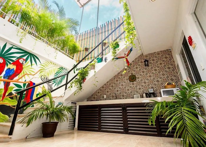 Hotel Palmas - Near The